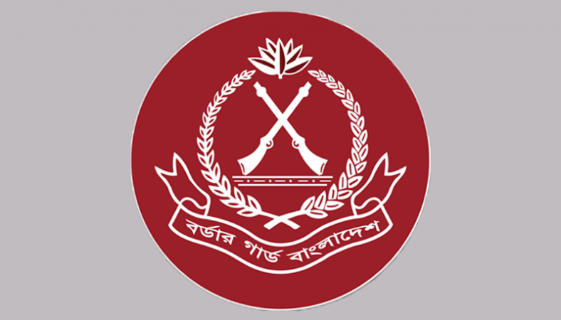 টেকনাফে সাড়ে ৫ কোটি টাকার মাদক উদ্ধার: বিজিবি