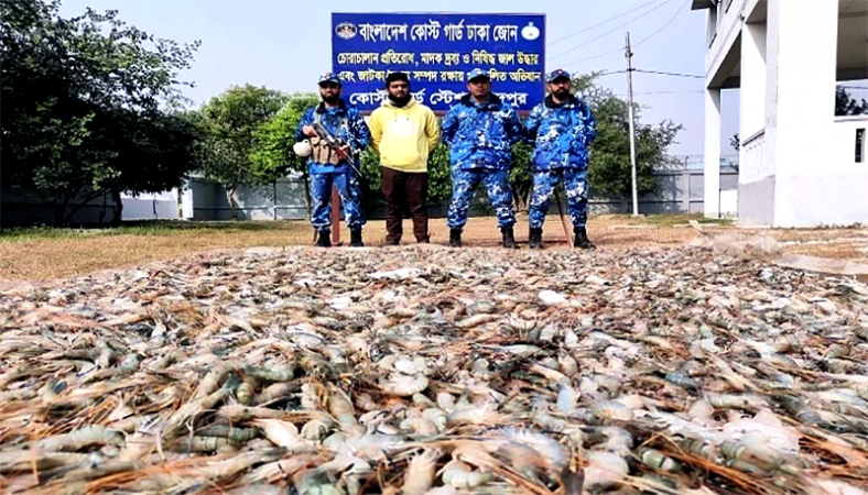 চাঁদপুরে জেলি পুশ করা ১০২০ কেজি চিংড়ি উদ্ধার