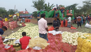শীতের সবজিতে ভরপুর বগুড়ার হাট