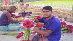 ঝিনাইদহে ফুলের বাজারে উত্তাপ, ১০ টাকার গোলাপ ৫০ টাকা