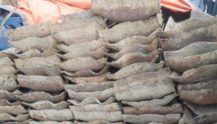 রেললাইনের স্লিপার চুরির সময় ট্রাকসহ চালক আটক