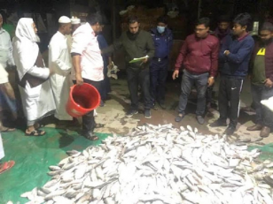 নোয়াখালীতে ১০ মণ জাটকা জব্দ