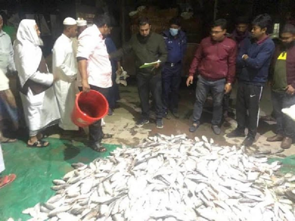 নোয়াখালীতে ১০ মণ জাটকা জব্দ