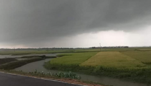 সুনামগঞ্জে ধান কাটার সময় বজ্রপাতে ৬ কৃষক নিহত