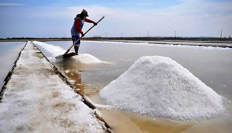 ৬২ বছরের মধ্যে সর্বোচ্চ লবণ উৎপাদন