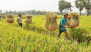 কৃষিখাতে ২৫ হাজার ১২২ কোটি টাকার বরাদ্দের প্রস্তাব