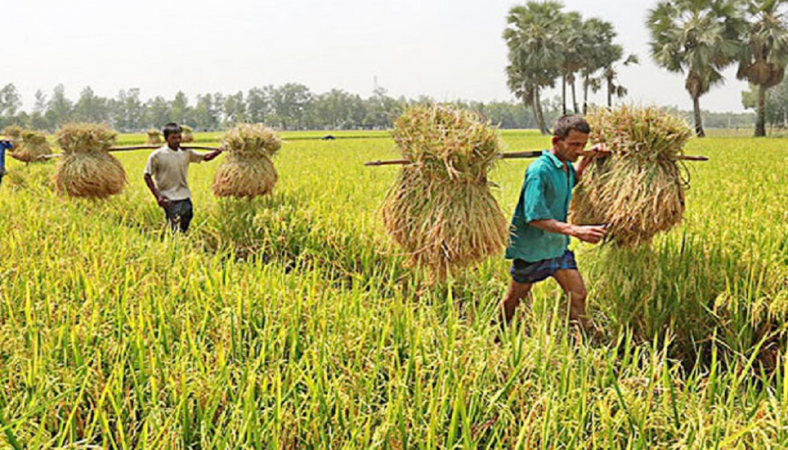 কৃষিখাতে ২৫ হাজার ১২২ কোটি টাকার বরাদ্দের প্রস্তাব