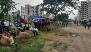 আফতাবনগরে গরুর হাট বসানোর ইজারা স্থগিত