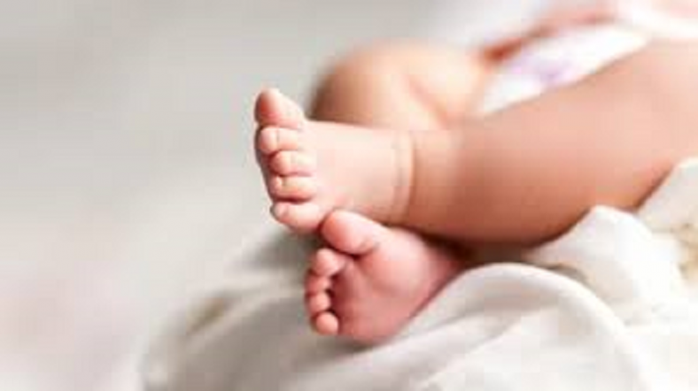 জন্মের পরই মারা গেল ৮ হাত-পা বিশিষ্ট নবজাতক