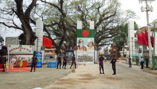 ৩০ হাজার ইউএস ডলারসহ নারী আটক