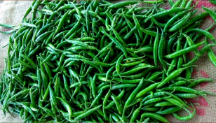 কাঁচা মরিচ আমদানির অনুমতি
