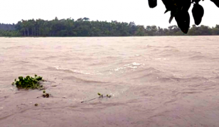 যমুনায় নৌকাডুবিতে মা-ছেলের মৃত্যু