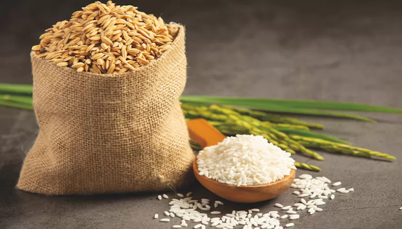 ৩৩ ভাগ ধান কাটা শেষ, চাল উৎপাদন হতে পারে ২ কোটি ২৫ লাখ টন