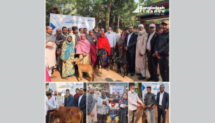 দরিদ্রদের মাঝে গবাদি পশু ও ভ্যান বিতরণ করলো বাংলাদেশ ফাইন্যান্স
