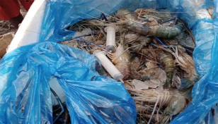 চিংড়িতে ভেজাল অব্যাহত থাকায় বাজার হারানোর শঙ্কায় রপ্তানিকারকরা