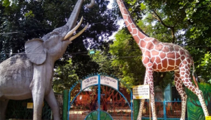 দুটি বাঘের বিনিময়ে জোড়া জলহস্তী পাচ্ছে চট্টগ্রাম চিড়িয়াখানা 