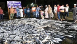 ভোলায় ৪০ মণ সামুদ্রিক মাছ জব্দ