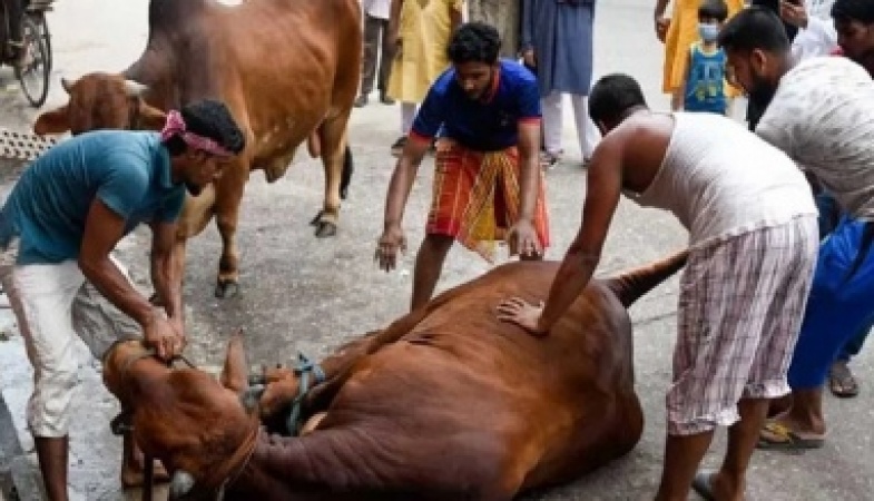 ঈদে কোরবানি‌ হয়েছে এক কোটি ৪১ হাজার পশু