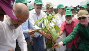 ডিএনসিসির সব রাস্তা ও ফুটপাতে গাছ লাগানো হবে: মেয়র আতিকুল