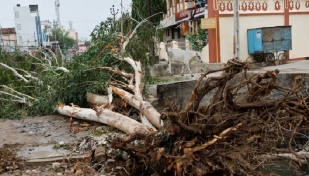 ভারতে ‘বিপর্যয়ের’ তাণ্ডবে বিদ্যুৎহীন ১ হাজার গ্রাম