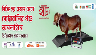 প্রবাসী ক্রেতাদের কোরবানির পশু ক্রয়ের সুযোগ থাকছে এবারের ডিজিটাল হাটে