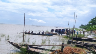 পদ্মায় ৪৭ গরুসহ ট্রলারডুবি