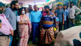 গাবতলী কোরবানির পশুর হাট পরিদর্শনে প্রাণিসম্পদ সচিব