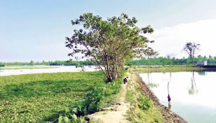 নদী বন্ধক রেখে ব্যাংক ঋণ, পরিশোধের জন্য বিক্রি