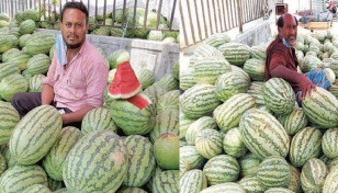 কুমিল্লার হাট বাজার তরমুজে ভরপুর