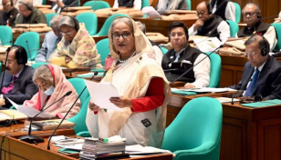 ব্যাপক উন্নয়নের পেছনে সংসদীয় গণতন্ত্রের স্থিতিশীলতা: প্রধানমন্ত্রী