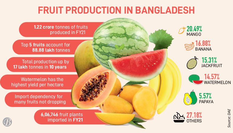 Fruit pleasure Development period over 12 years old Bangladesh