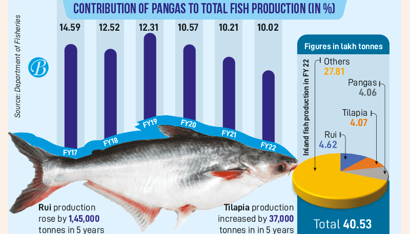 Products – Total Fishing