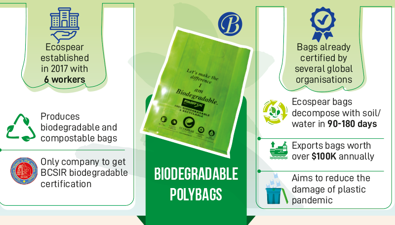 Learn more about Washable Paper Bags - a sustainable vegan leather alt -  Temples and Markets