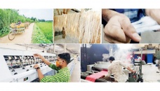 Pineapple fibre – a new fibre for the global fashion industry