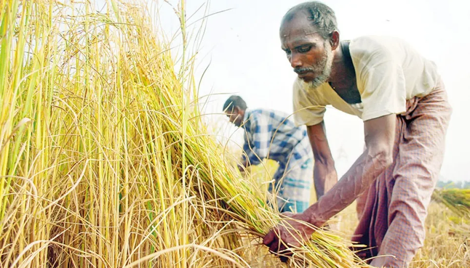 BB announces Farm Credit Policy lowering interest rate