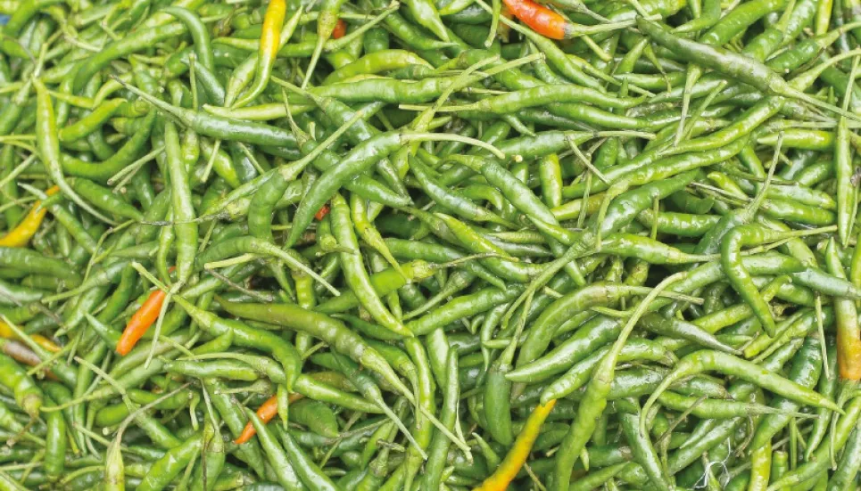 Green chilli import through Hili port begins