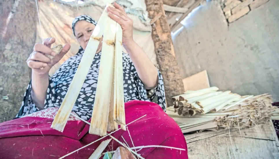 Egypt papyrus makers keep tradition alive despite tourism slump 