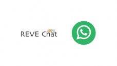 REVE Chat joins WhatsApp business channel 