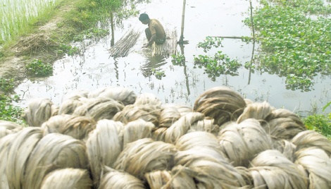 No raw jute trading without licence 