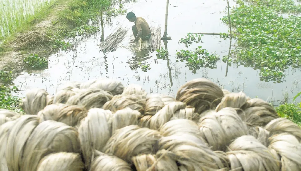 No raw jute trading without licence 