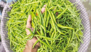 Green chilli still selling at Tk600 per kg