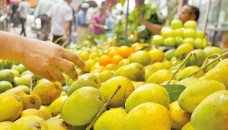 Bangladesh’s mango exports jump five folds 