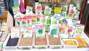 Seed imports triple in two years 