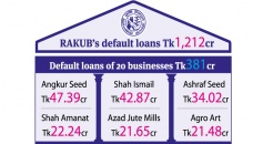 20 businesses hold 31% RAKUB default loans