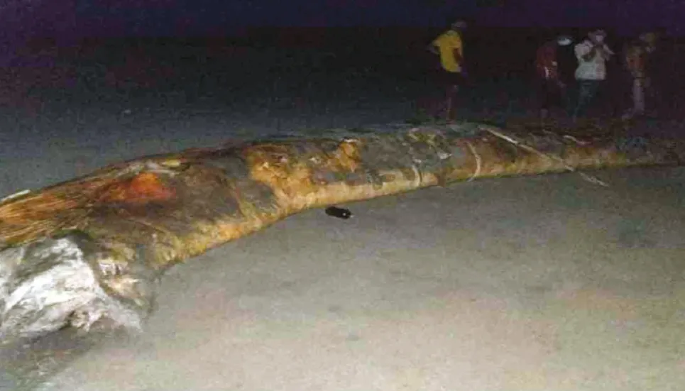 Whale washes ashore in Cox’s Bazar 