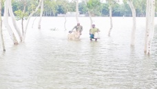 Flood situation improving as Brahmaputra remains steady 