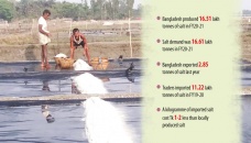 Import ban pushes up salt production in Bangladesh 