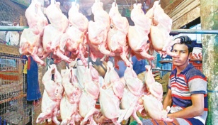 Broiler chicken, eggs become costlier 