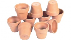 Terracotta 