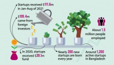 Venture funding for startups going strong 